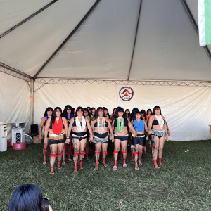 Acampamento Terra Livre foto 4 - aitupaira