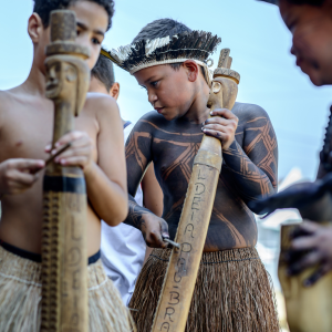 Festa dos Povos Originários - Resistencia Iraja foto 5 - aitupaira